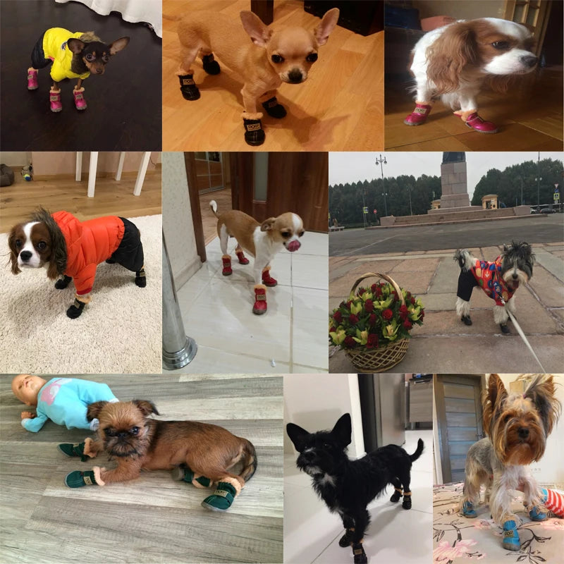 EC_ 4P Winter Pet Shoes Waterproof